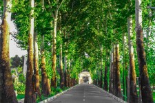 در روزهای داغ تابستان به این شهر خنک و زیبا سفر کنید