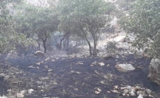 آتش‌سوزی ارتفاعات سرکش گیلانغرب مهار شد