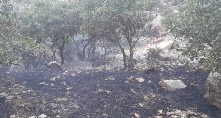 آتش‌سوزی ارتفاعات سرکش گیلانغرب مهار شد
