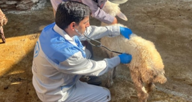 خدمت‌رسانی جهادی دامپزشکی در روستاهای صحنه با محوریت ارتقای بهداشت و سلامت