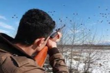 اکیپ شکارچی غیرمجاز در منطقه حفاظت شده شهرستان صحنه دستگیر شد
