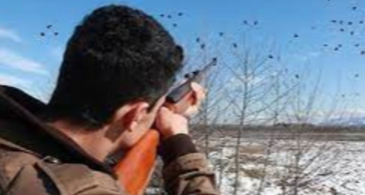 اکیپ شکارچی غیرمجاز در منطقه حفاظت شده شهرستان صحنه دستگیر شد