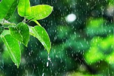 صحنه با ۵۳.۷ میلیمتر رکورددار بارش های اخیر در کرمانشاه