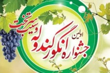 جشنواره "انگور کندوله" و "سیب سرتخت" برگزار می‌شود