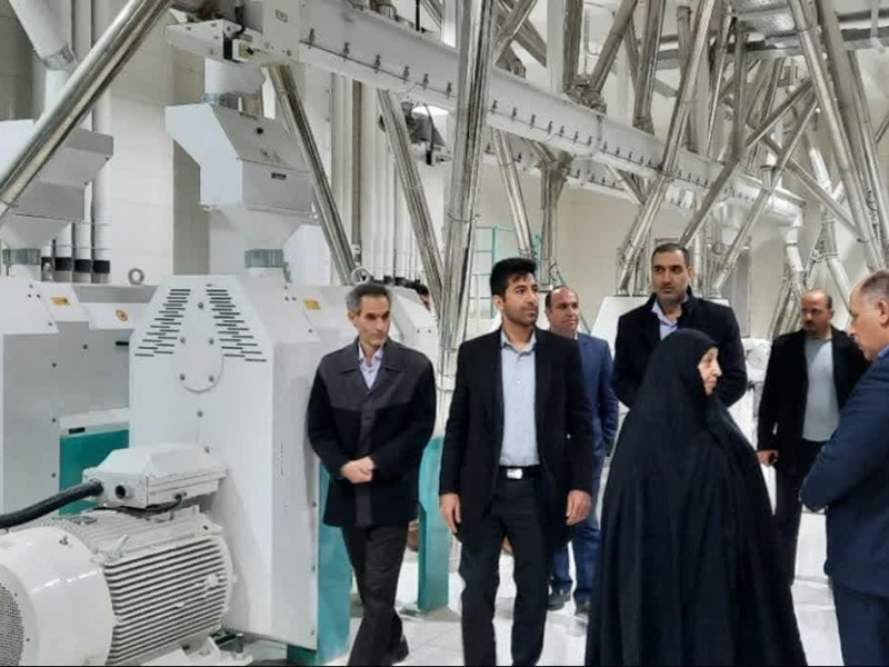 بررسی مشکلات واحدهای تولیدی شهرستان صحنه انجام شد بررسی مشکلات واحدهای تولیدی شهرستان صحنه انجام شد