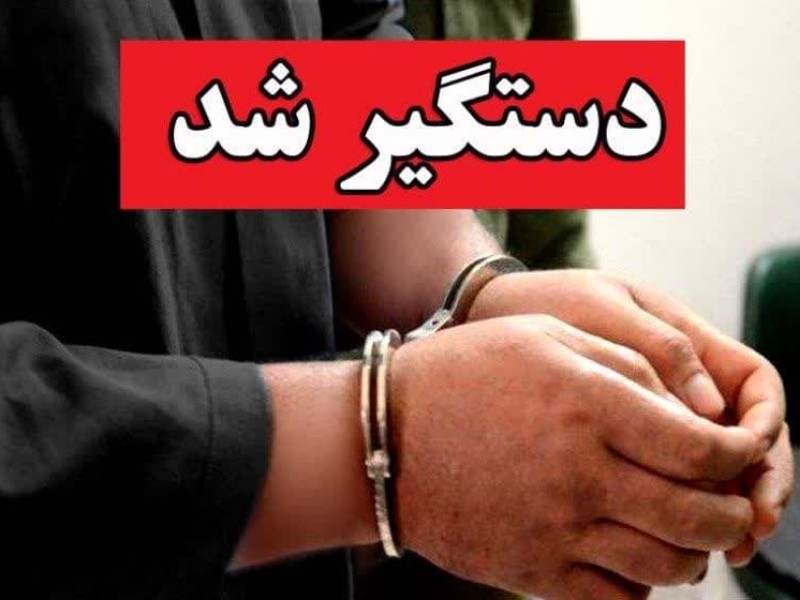 قاتل پیرزن صحنهای دستگیر شد قاتل پیرزن صحنهای دستگیر شد