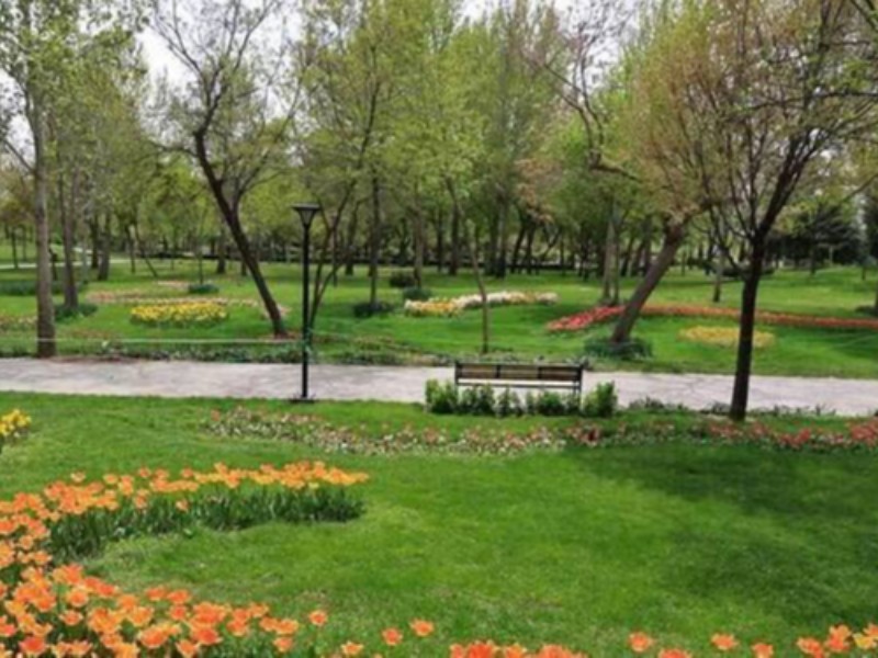 عملیات اجرایی احداث بوستان شهرک امام(ره) در شهر صحنه آغاز شد عملیات اجرایی احداث بوستان شهرک امام(ره) در شهر صحنه آغاز شد
