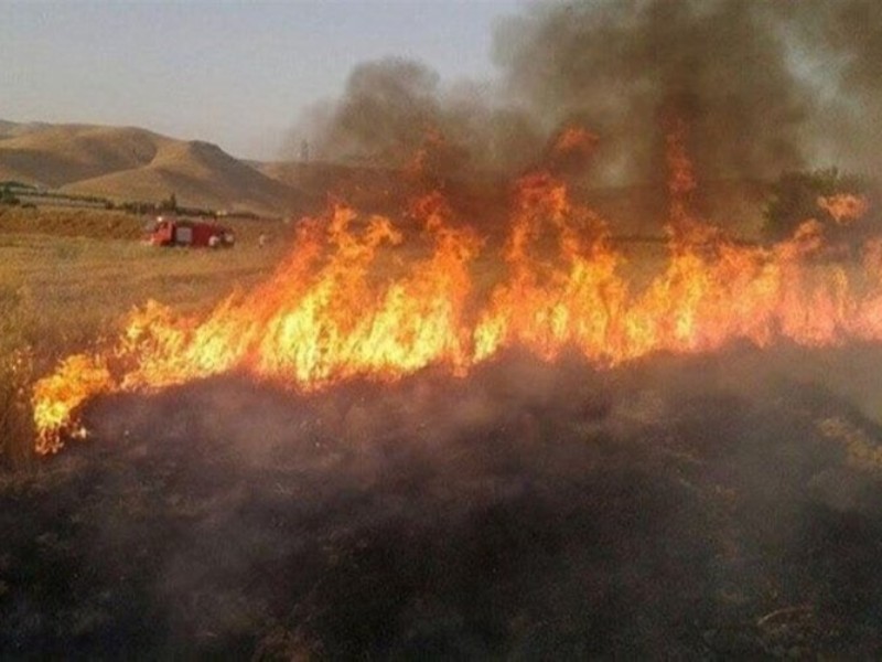 جارسوزی در کمین مراتع صحنه است جارسوزی در کمین مراتع صحنه است