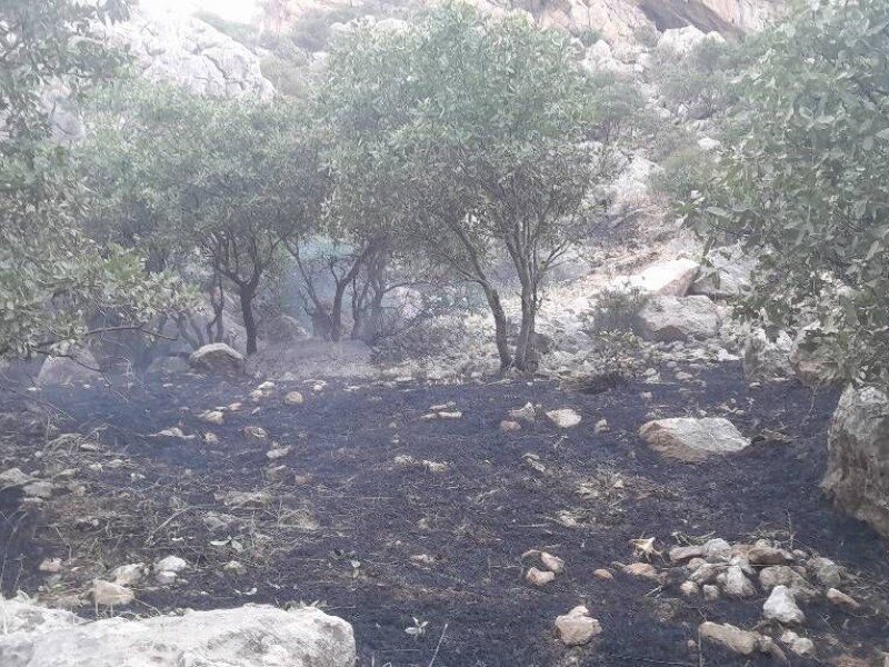 آتشسوزی ارتفاعات سرکش گیلانغرب مهار شد آتشسوزی ارتفاعات سرکش گیلانغرب مهار شد