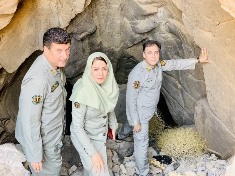 مدیرکل محیطزیست کرمانشاه از کشف غاری تازه در دل کوههای باینگان خبر داد مدیرکل محیطزیست کرمانشاه از کشف غاری تازه در دل کوههای باینگان خبر داد